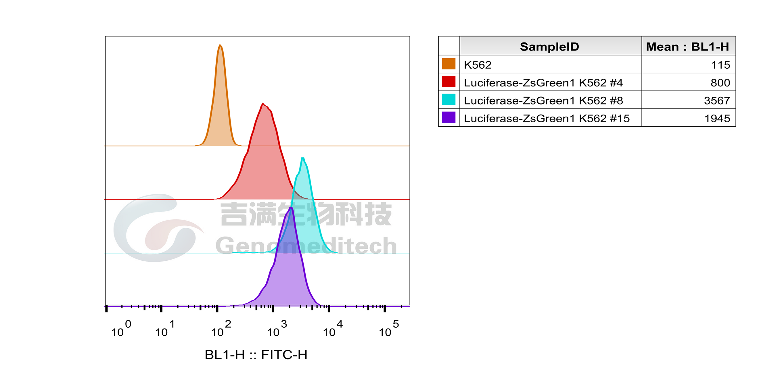 Luciferase-GFP K562 Cell Line