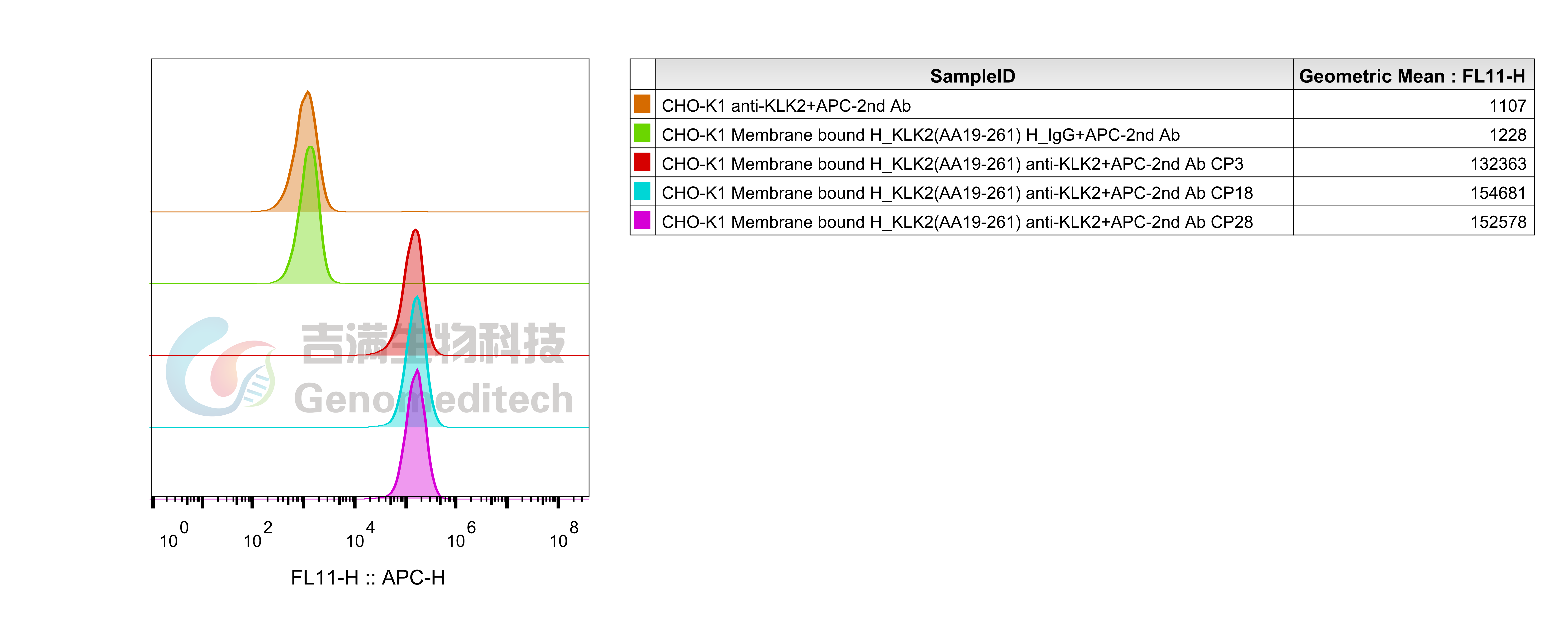 Membrane bound H_KLK2(AA19-261) CHO-K1 Cell Line